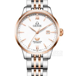 Juenni Watch Craftsmanship Series GNQ-T1861L-ADR-1 Automatic machinery, 316L stainless steel, 29mm - Image 1
