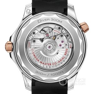 Omega Seamaster 210.22.42.20.01.002 Automatic machinery, precision steel, 42mm - Image 2