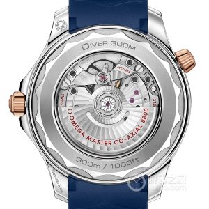 Omega Seamaster 210.22.42.20.03.002 Automatic machinery, precision steel, 42mm - Image 2