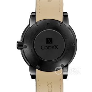 Haodu's identity: 4452.02.0101.I01 Quartz, 316L stainless steel | Black plated, 45mm - Image 2