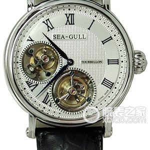 Seagull Tourbillon ST8080GB Manual mechanical parts, stainless steel, 43mm - Image 1