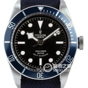 Tudor Black Bay 79220B with textured strap Automatic machinery, stainless steel, 41mm - Image 1