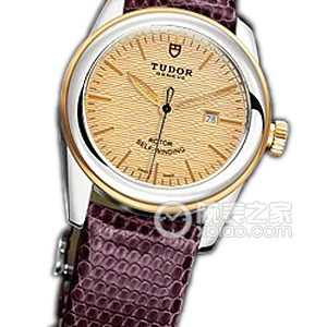 Tudor Jade 53003 - Gold Dial Jacquard Bezel with Purple Lizard Leather Strap Automatic machinery, stainless steel, 31mm - Image 1