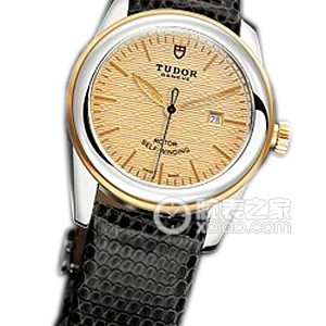 Tudor Jade 53003 - Gold Dial Jacquard Bezel with Black Lizard Leather Strap Automatic machinery, stainless steel, 31mm - Image 1