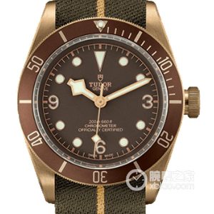 Tudor Black Bay M79250BM-0004 Automatic machinery, bronze, 43mm - Image 1
