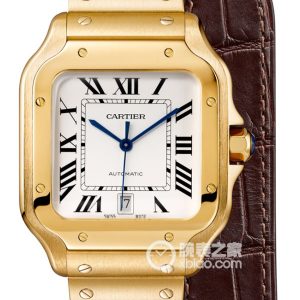 Cartier Santos WGSA0009 (Large) Automatic machinery, 18k gold, 39.8mm - Image 1