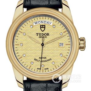 Tudor Junjue M56008-0017 Automatic mechanical movement, 18k gold, double outer ring, 39mm - Image 1