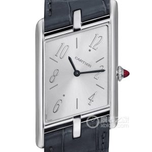 Cartier Tank WGTA0042 Platinum, 47.15*26.2mm - Image 1