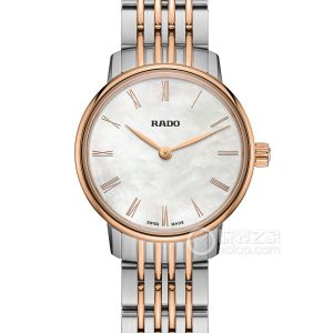 Radar Crystal R22897933 Stainless steel, 27mm