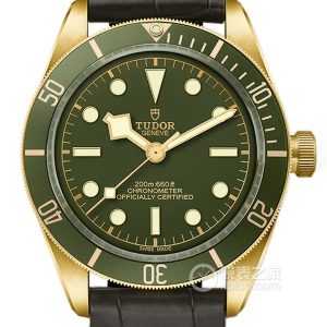 Tudor Black Bay M79018V-0001 Automatic machinery, 18k gold, 39mm - Image 1