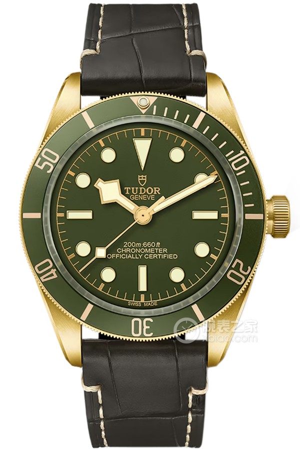 Tudor Black Bay M79018V-0001 Automatic machinery, 18k gold, 39mm