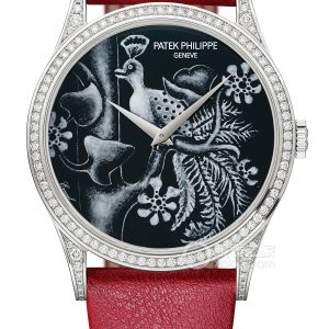 Patek Philippe Rare Craftsmanship 5077/100G-055 - Image 1