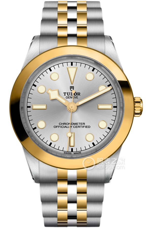 Tudor Black Bay M79603-0002 Polished and brushed 316L steel, 31mm