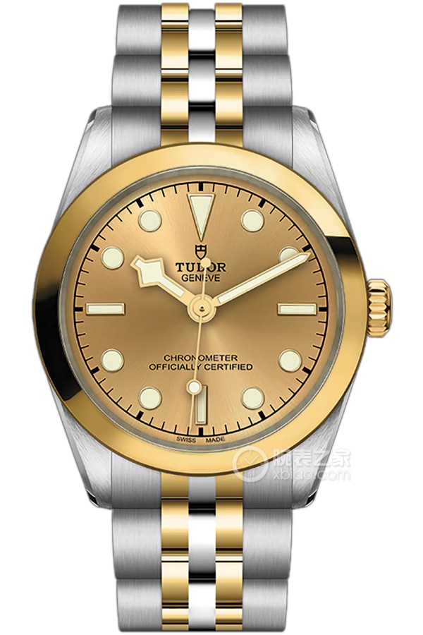 Tudor Black Bay M79603-0005 Polished and brushed 316L steel, 31mm