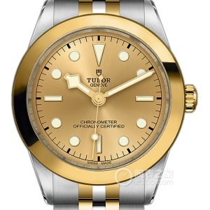 Tudor Black Bay M79663-0005 Automatic machinery, polished and brushed steel, 39mm - Image 1