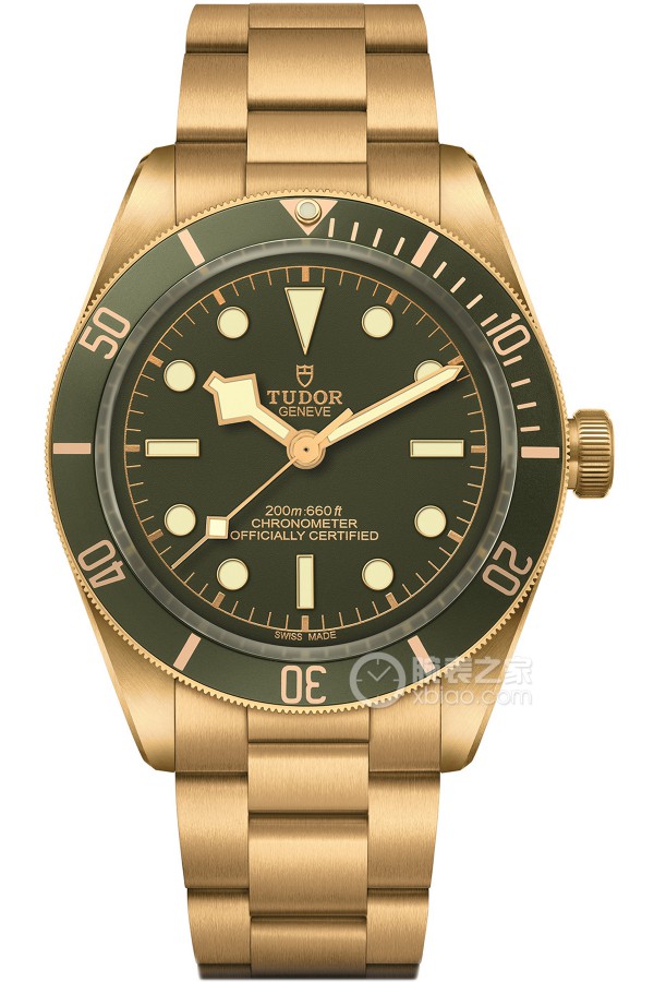 Tudor Black Bay M79018V-0006 Automatic machinery, 18k gold, 39mm